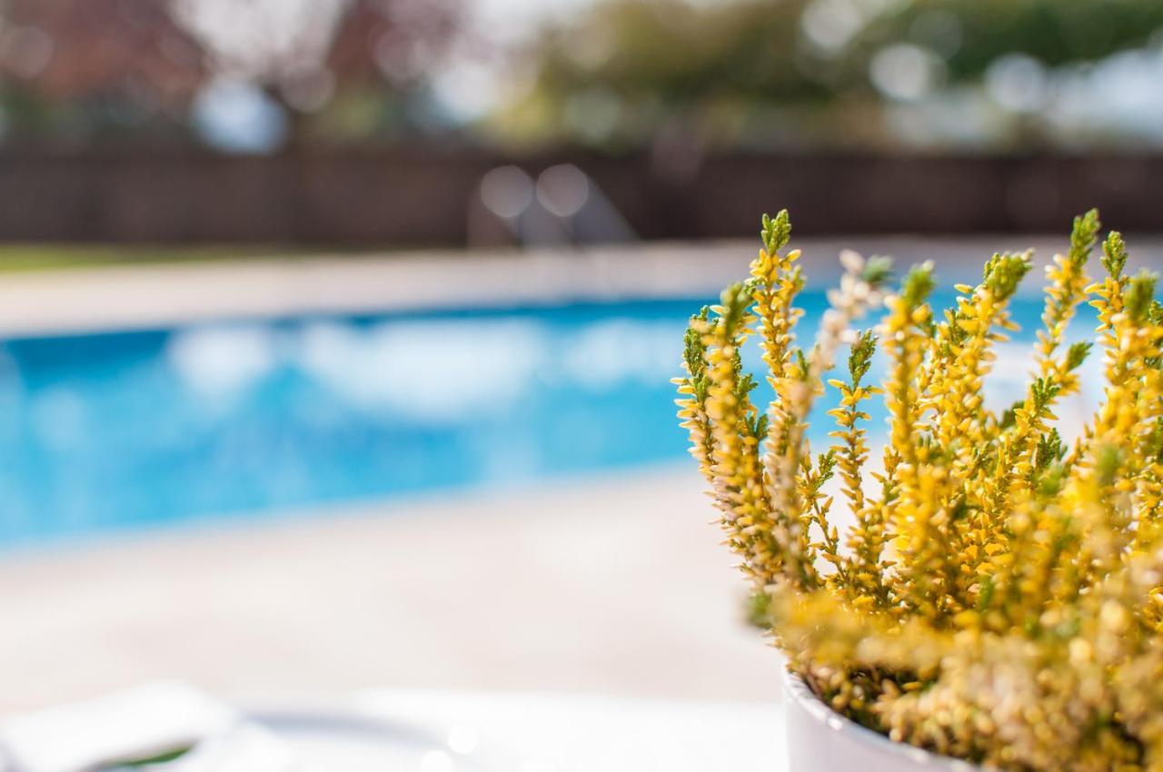 Private Pool Villa Nefeli Corfu Dassia (Corfu) Exterior foto